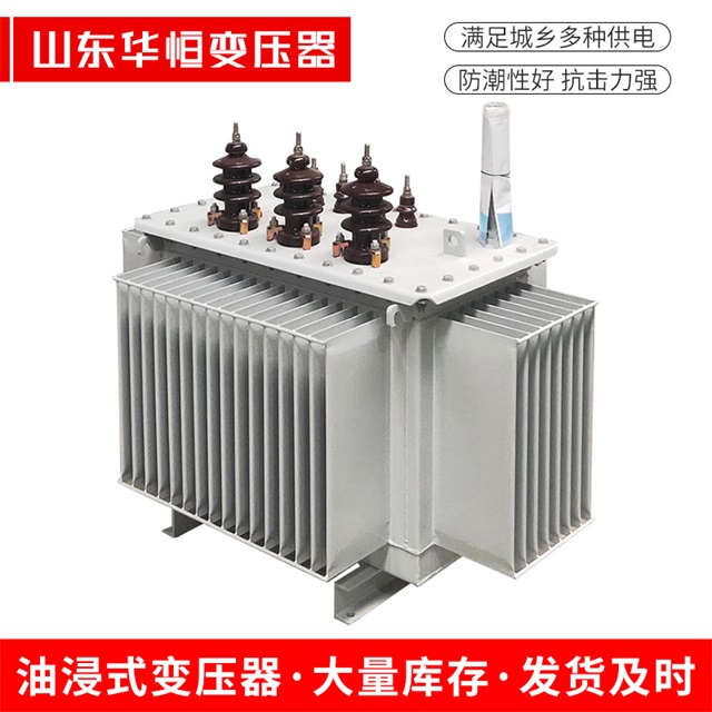 S13-10000/35师宗师宗师宗油浸式变压器厂家